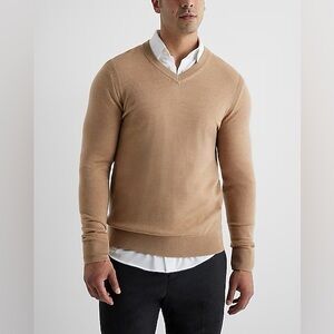 NWT Express V Neck Sweater 100% Merino Wool